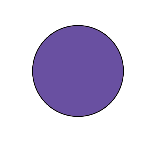 circle image no.13